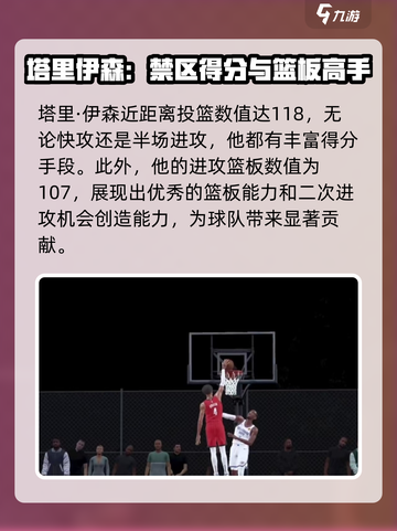 美职篮全明星塔里伊森怎么样介绍截图5