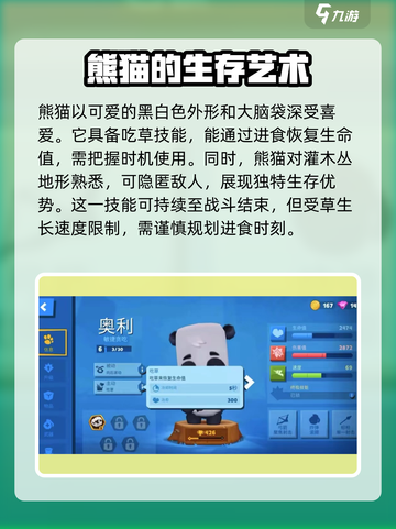 动物王者熊猫🔥超萌登场，玩转动物王者不容错过！截图2