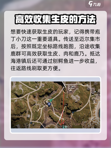七日世界💡生皮获取大揭秘！玩家必看🔥截图2
