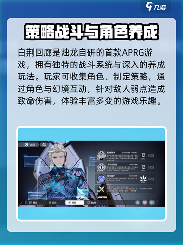 白荆回廊什么时候公测介绍截图5