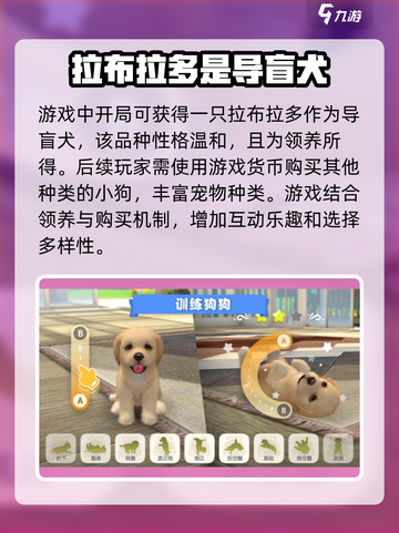 梦幻小狗🔥新手必看！玩法攻略全揭秘✨截图2