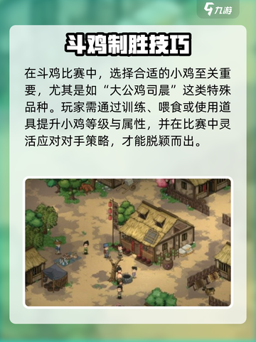 《大侠立志传斗鸡玩法曝光！ cockscomb💥》截图4