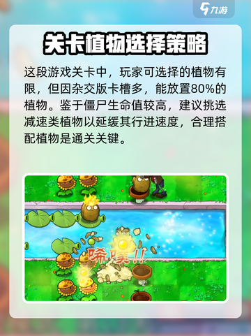 植物大战僵尸杂交版第13关🔥通关秘籍来了！游戏技巧大公开💡截图2