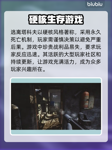 逃离塔科夫闪退解决方法大公开！⚡加速器必备吗？🔥截图2