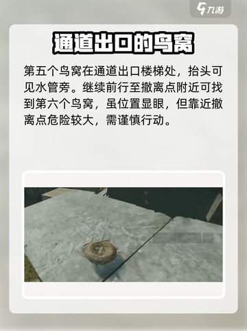 三角洲行动🔥鸟窝位置全揭秘！快来看👀截图6