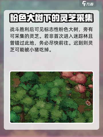 大侠立志传迷踪林灵芝在哪介绍截图3