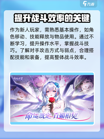 命运圣契🔥新手必看！玩转游戏全攻略💎截图5