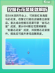 潜水员戴夫石花菜在哪介绍截图4