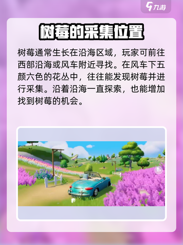 心动小镇树莓在哪里采集介绍截图2