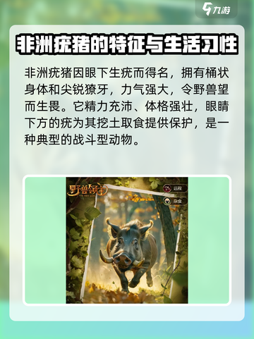 野兽领主新世界非洲疣猪怎么样介绍截图2