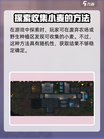 秩序新曙光💥小麦获取秘籍✨玩家必看！截图3