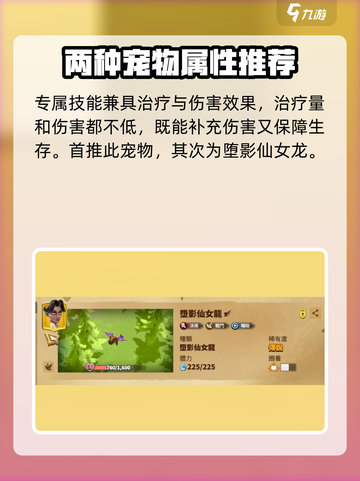 万龙觉醒🔥维德尔宠物最强搭配方案🎉截图4
