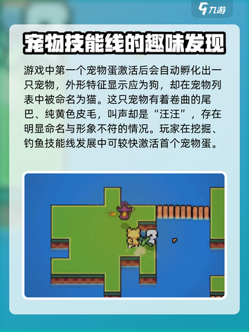 浮岛冒险宠物蛋怎么得介绍截图2