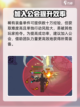 英勇之地神王要多少经验介绍截图4