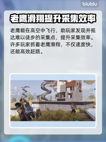《七日世界》🔥老鹰作用全面解析hawk截图3