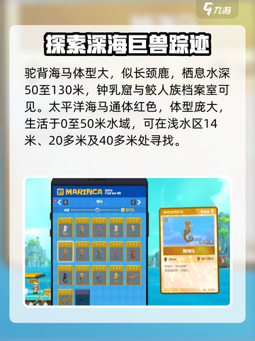 潜水员戴夫海马图鉴介绍截图4