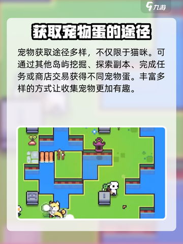浮岛冒险🔥宠物蛋获取攻略💡宠物大全revealed！截图3