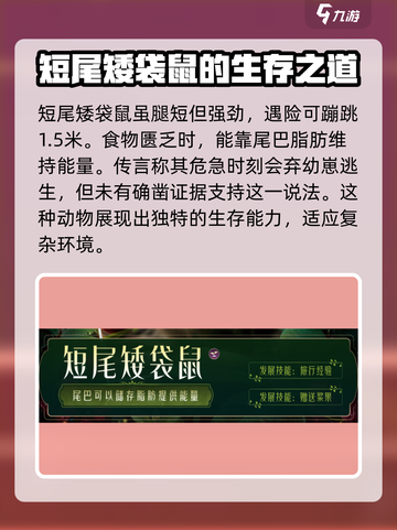 野兽领主新世界短尾矮袋鼠🔥萌宠养成必看！截图3
