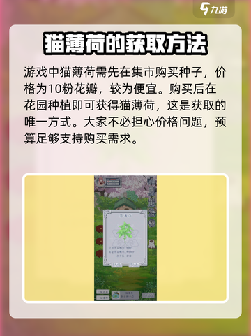 花与香水与猫猫薄荷在哪买介绍截图2
