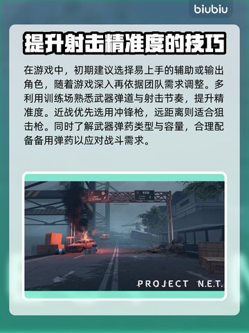 ProjectNET新手必看！👉玩法思路大公开🔥截图3