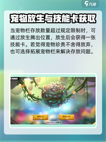 万龙觉醒🔥宠物放生玩法大揭秘！游戏党必看截图4