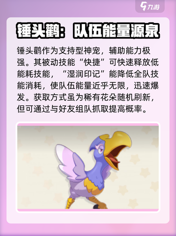 洛克王国世界必练神宠介绍介绍截图6