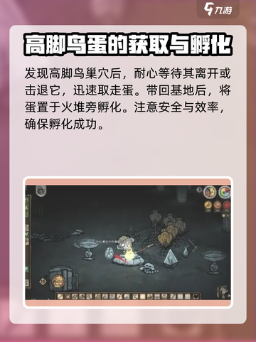 饥荒联机版高脚鸟蛋怎么孵化介绍截图2