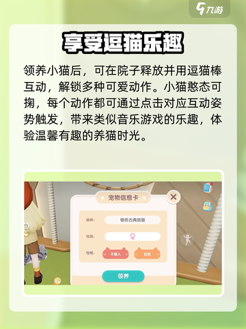 心动小镇🔥撸猫玩法大揭秘！猫咪爱好者必看🐾截图4