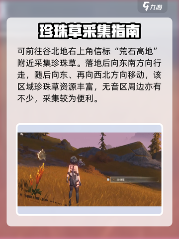 🎮鸣潮珍珠草用途揭秘！高效收集攻略大公开✨截图4