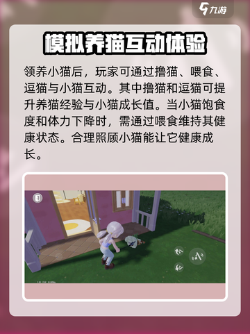 心动小镇养猫全攻略🐱，云吸猫必备！截图4