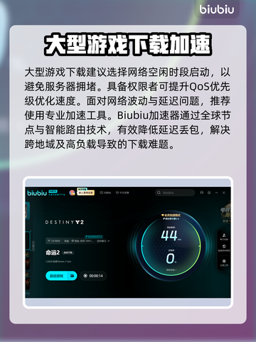🔥命运2下载太慢？速看加速技巧！🚀截图3
