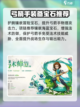 魔力宝贝💎弓箭手宝石佩戴攻略💥截图3