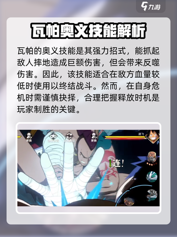 航海王壮志雄心瓦帕介绍介绍截图5