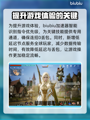 天堂2M延迟丢包？一键解决流畅玩💎截图3