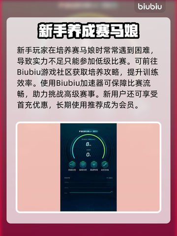 💥赛马娘国际服延迟解决神器！✨截图4