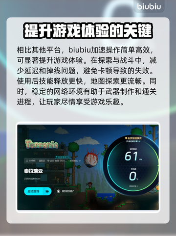 泰拉瑞亚⚡加速器选择与下载地址全攻略🎉截图4