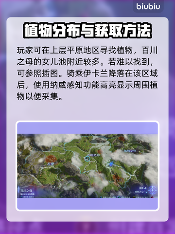 阿凡达潘多拉边境🔥芦苇快速获取位置📍截图2