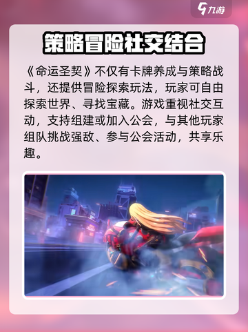 命运圣契是哪个公司的介绍截图4