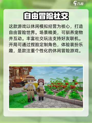 龙与家园攻略新手介绍截图2