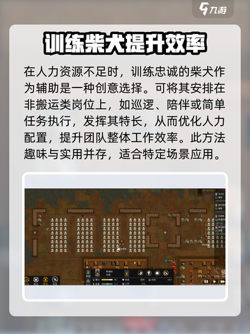 秩序新曙光🔥任务通关攻略分享！💡截图3