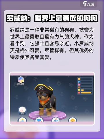 梦幻小狗游戏中稀有狗有哪些介绍截图3