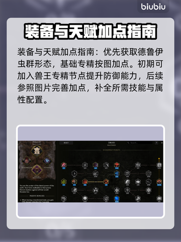 最后纪元🔥德鲁伊蝗虫流派玩法解读！截图6
