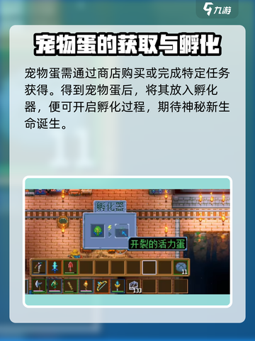 护核纪元怎么孵蛋介绍截图2