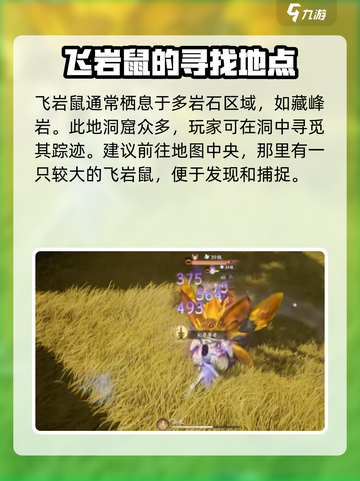 仙剑世界飞岩鼠怎么抓介绍截图2