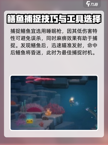 潜水员戴夫鳝鱼怎么捕捉介绍截图3