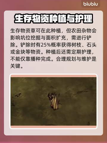 🔥饥荒玩家必看！最强加速器推荐💎截图3
