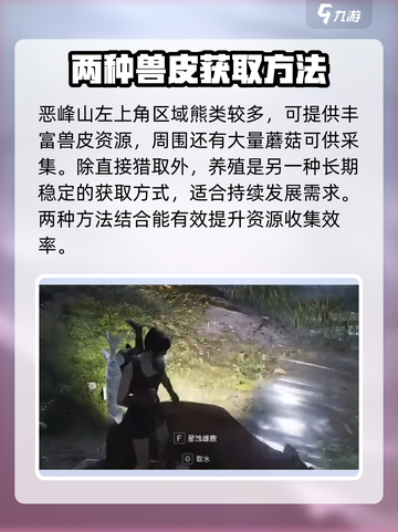 七日世界兽皮怎么获得介绍截图4