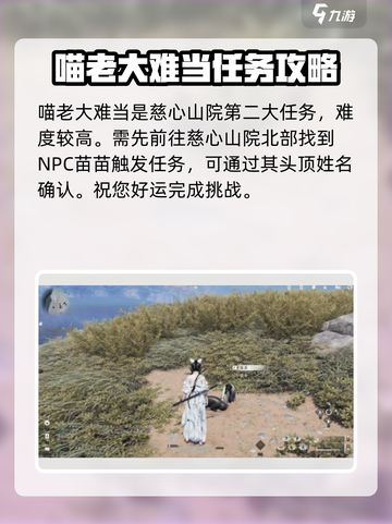 燕云十六声🐱：喵老大难当任务超详细🔥攻略来啦！截图2