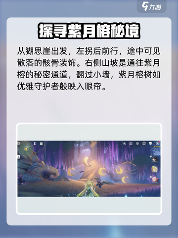 鸣潮无光之森观景点位置在哪里介绍截图3