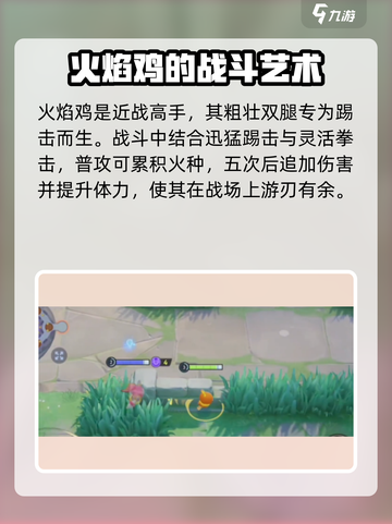 宝可梦大集结火焰鸡怎么玩介绍截图2